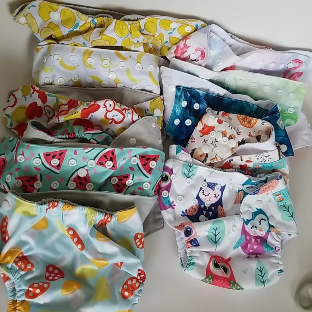 AlvaBaby And Simple Being Cloth Diaper & Liner Lot